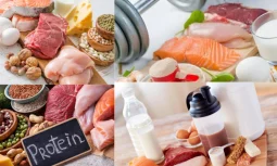 Protein Nedir ve Neden Önemlidir?